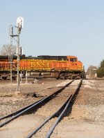 BNSF 5019